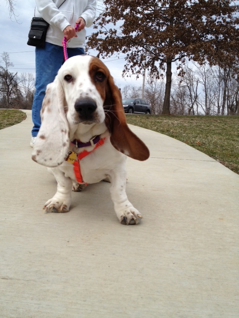 Windy Mayor