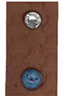 Collar for Boys