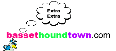 bassethoundtown.com