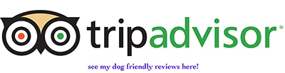 Trip Advisor