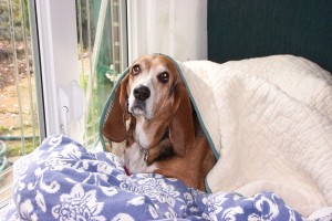 chloeblankee