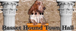 730x297-town-hall-header