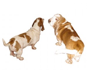 back-shot-of-chaps-and-emma