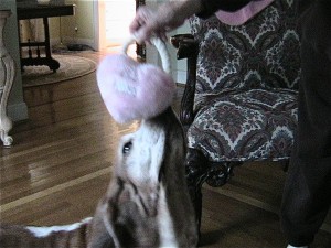 img_9805