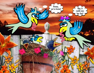baby-birds