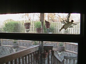img_0359