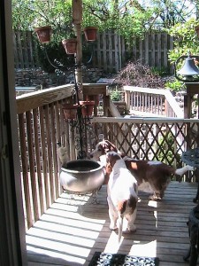 img_0743