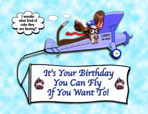 birthday-fly-if-you-want-to