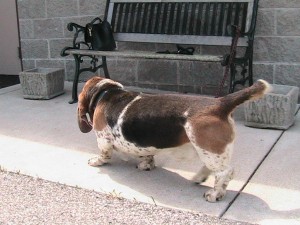 img_1247