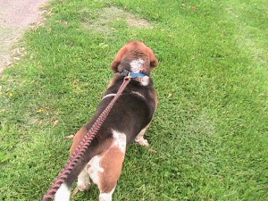 img_1320