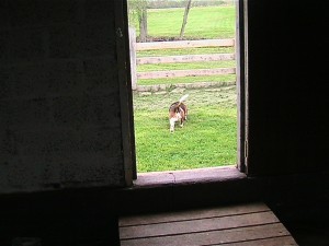 img_1329