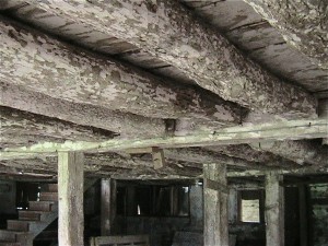 img_1338