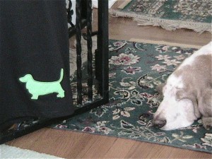 img_1417