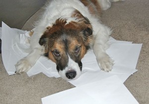 paperwork-sucks-brighter paperwork-sucks-brighter