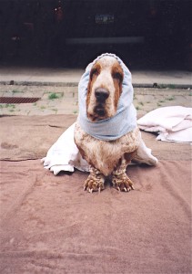 cleanboy1