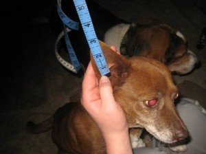image008 image008