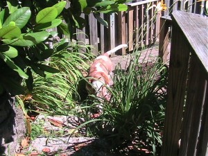 img_2376