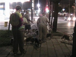 img_2465