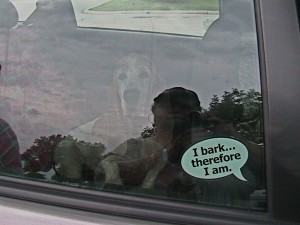 img_2557