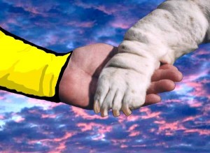paw-in-hand