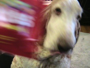 img_2763