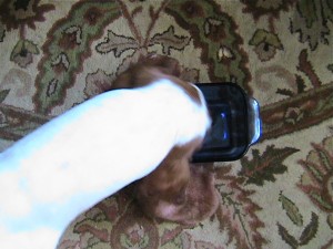 img_2783