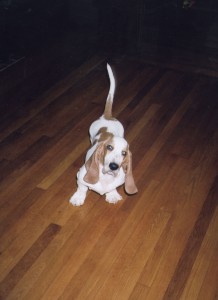 Baby Emma 1