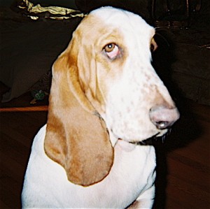 Baby Emma 2