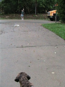IMG_3641