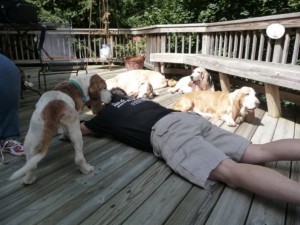 Wendi in the LTTG position