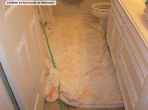 Comforter on floor to soak up Jethro water