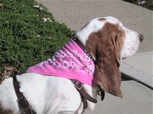 IMG_3856