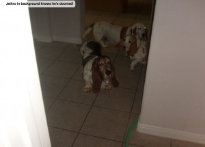 Jethro in background knows he's doomed