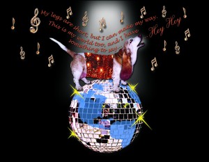 P06_disco ball