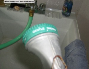 making sure the hose is on shower setting