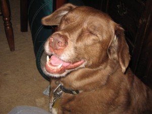 IMG_1148 IMG_1148