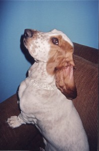littlemissperfect