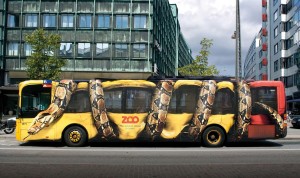CopenhagenZooBoa
