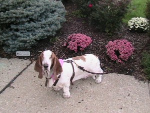 IMG_3840