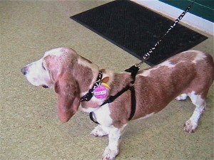 IMG_5309 IMG_5309