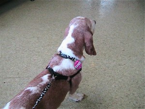 IMG_5313 IMG_5313