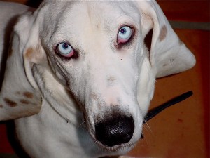 Newman closeup