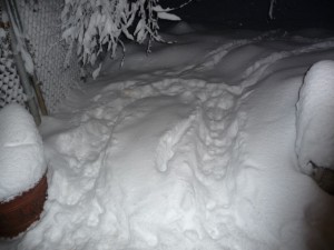 201002060001