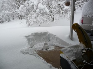 201002060012
