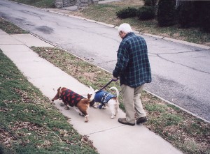 dad walking kids