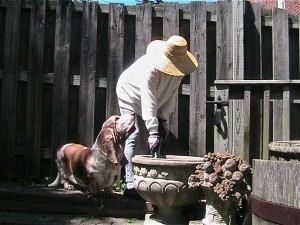 IMG_6519 IMG_6519