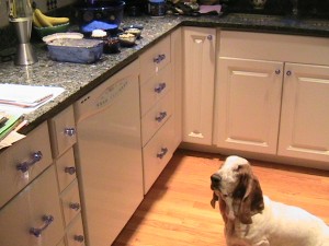 IMG_6576 IMG_6576