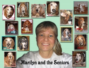 Marilyn and hounds