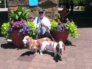 IMG_7607 IMG_7607