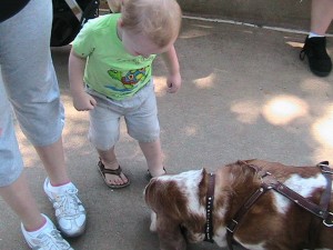IMG_7631 IMG_7631